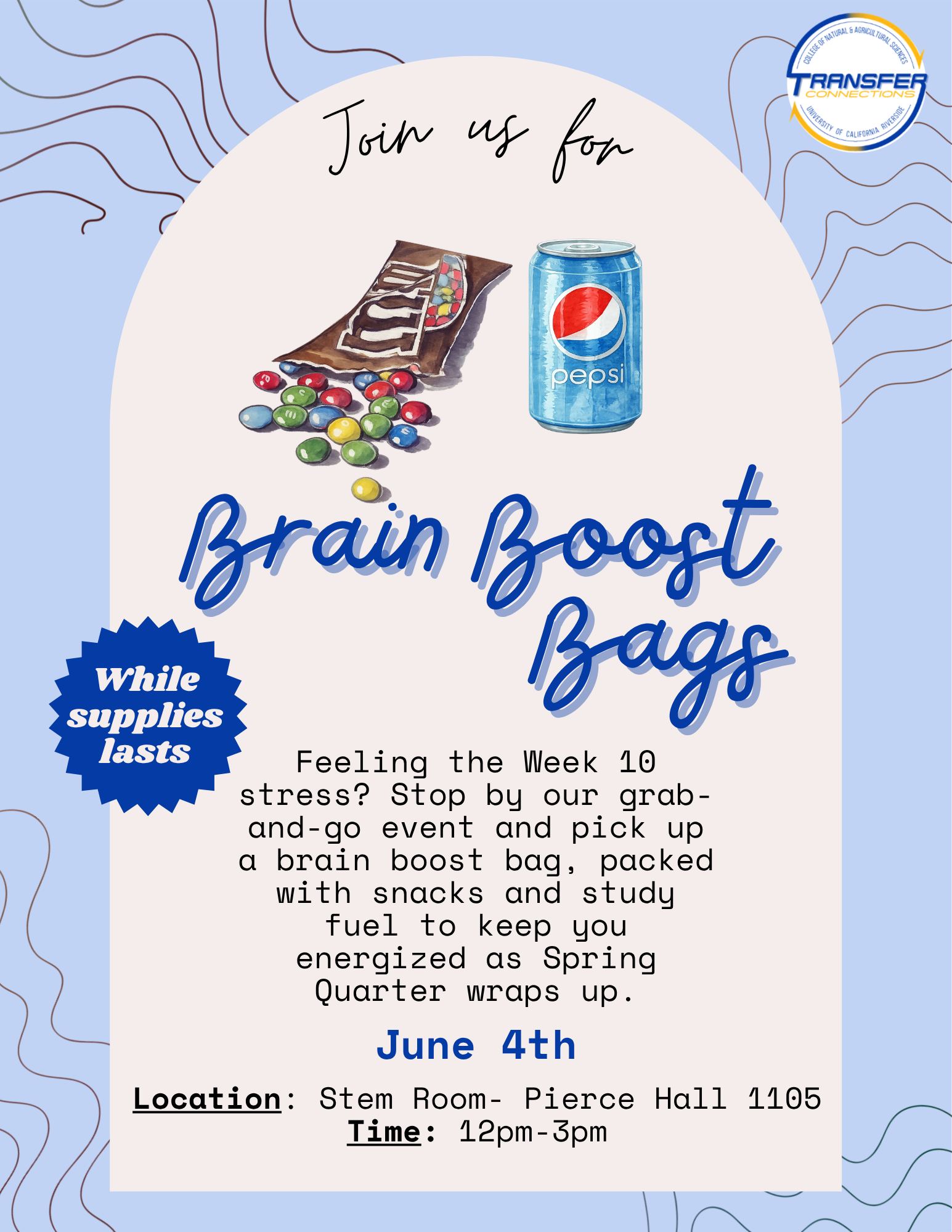 Brain Boost Bags